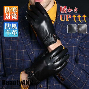 ] oCN XL[ St Ɨp ~ jOp h  rv fB[X Y O[u Ԃ h  {v