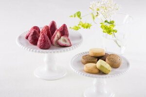 _Vi^yDVRNbL[ pgs-254z  VR NbL[ lߍ킹َq Mtg @Ԃ@@䒆@Ε@Ε@N@N@y