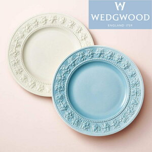 EFbWEbh Wedgwood NB[YEFA RNV tFXeBreB AC{[Eu[ yAv[g 27cm
