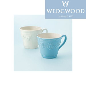 EFbWEbh Wedgwood NB[YEFA RNV tFXeBreB AC{[Eu[ yA}O