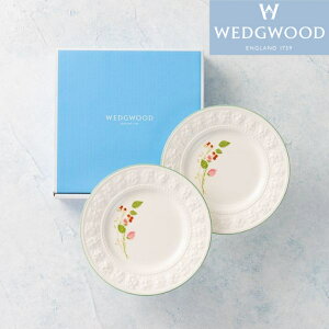 EFbWEbh Wedgwood NB[YEFA RNV tFXeBreB Yx[ yAv[g 21cm