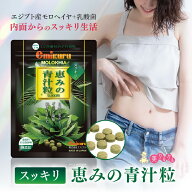 ＼レビュー投稿でクーポンプレゼント／モロヘイヤ サプリ【スッキリ恵みの青汁粒 100粒入り】【メール便…