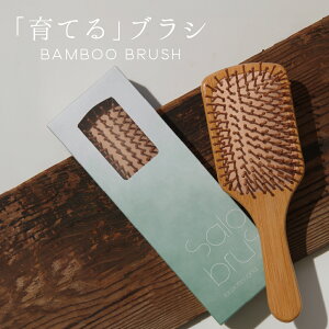 �y�o���u�[�u���V�zBAMBOO BRUSH �| �V�R�f�� �g���R�C���_�X�g���[�Y �}�b�T�[�W �n�� �c�{ �c���� �_���[�W �Ód�C �w�A�P�A �p�T�� ���� �j�`��