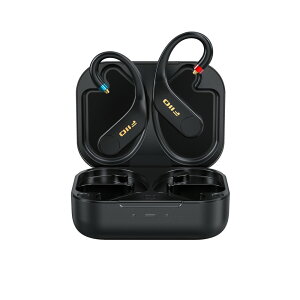 Bluetooth Cz V[o[ FIIO UTWS5 2025 tB[I nC] CXΉ TWS DAC Av
