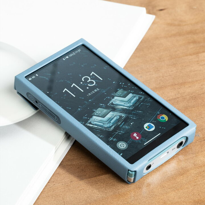 楽天市場】FIIO SK-JM21 Blue Black FIO-SK-JM21 FIO-SK-JM21-B 専用