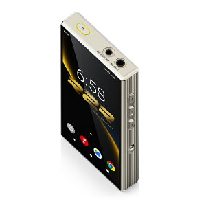 FIIO M33 R2R FIO-M33R �f�W�^���I�[�f�B�I�v���[���[