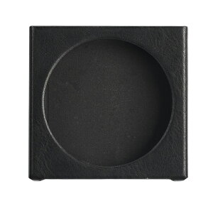 FIIO SK-DISC FIO-SK-SSDISC ��p�P�[�X