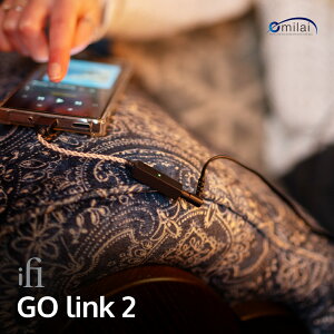 iFi audio GO link2 IFI-GO-LINK2 USB DAC���� �w�b�h�z���A���v