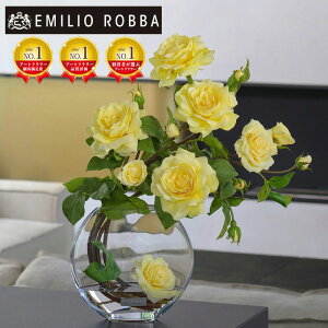 yNEWz KN ov}[Yye-3L AWg CeA A[eBtBVt[ j LO v[g AW sN Mtg v[g 蕨 a JƏj