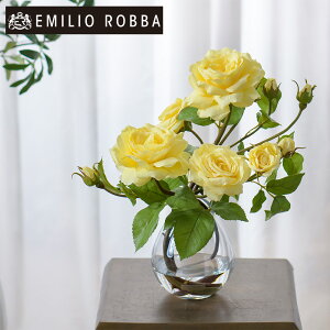  KN o v}[Yye-L AWg CeA A[eBtBVt[ AW F CG[ Mtg v[g 蕨 a JƏj J@j JXj Vzj 