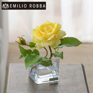  KN o v}[Yye-XS AWg CeA A[eBtBVt[ AW ~j  CG[ Mtg 蕨 a v[g Vzj j oYj 