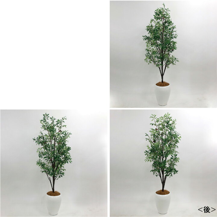 楽天市場】観葉植物 オリーブ 造花 インテリア おしゃれ 大型 大きい 