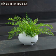 観葉植物 アジアンタム 造花 インテリア おしゃれ 小さめ ミニサイズ コンパクト アーティフィシャルグリ…