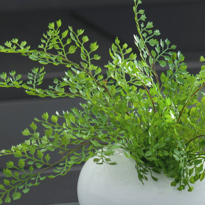 楽天市場】観葉植物 アジアンタム 造花 インテリア おしゃれ 小さめ 