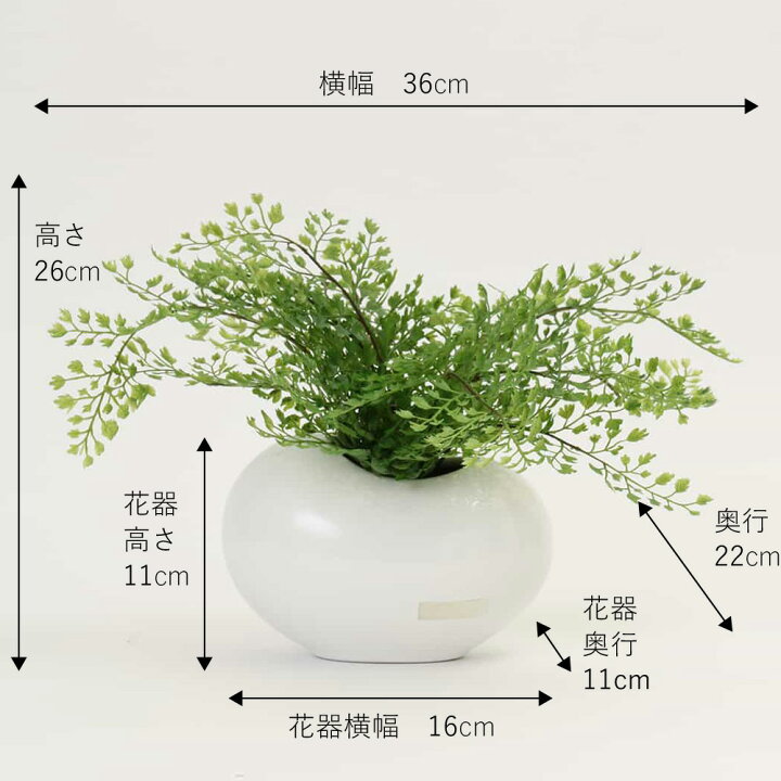 楽天市場】観葉植物 アジアンタム 造花 インテリア おしゃれ 小さめ 
