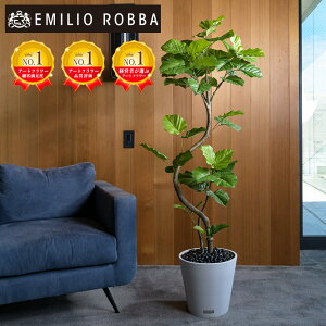 ϗtA Ex[^  CeA  ^ A[eBtBVO[ A[eBtBVt[ V Mtg v[g 蕨 a Vzj zj ړ]j J