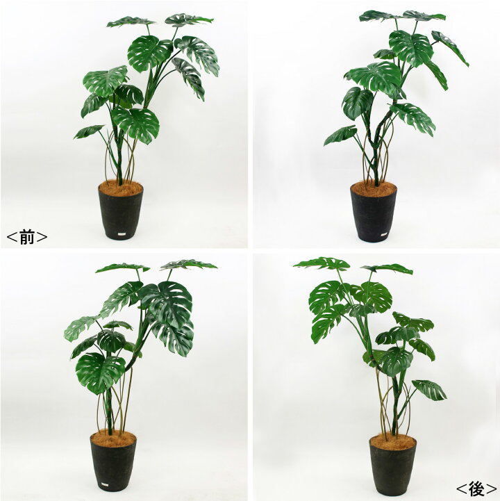 楽天市場】観葉植物 モンステラ 造花 インテリア 大型 アーティ 