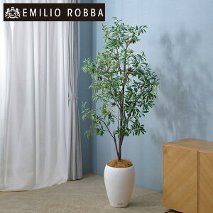 ϗtA I[u  CeA  ^ 傫 A[eBtBVO[ A[eBtBVt[ V Mtg v[g a Vzj ړ]j JXj JƏj