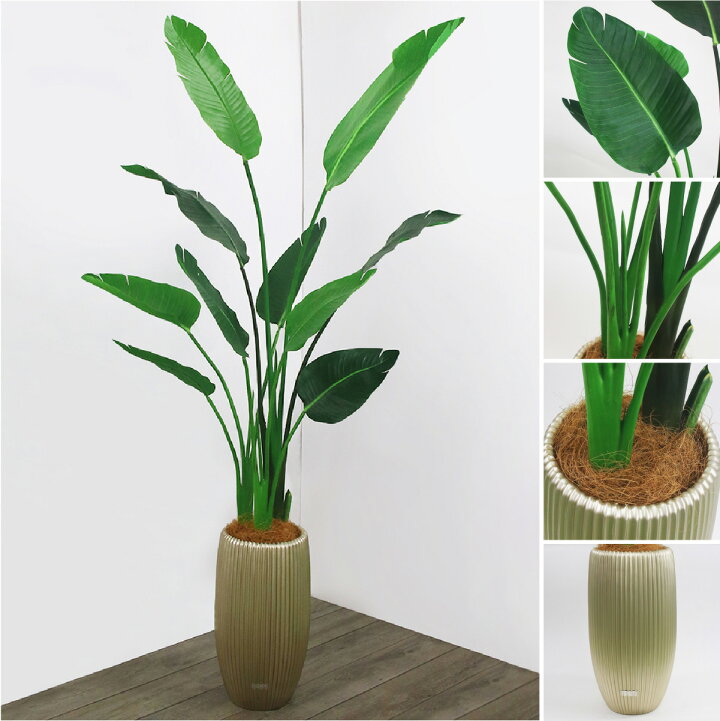 楽天市場】観葉植物 オーガスタ 造花 インテリア おしゃれ 大型 
