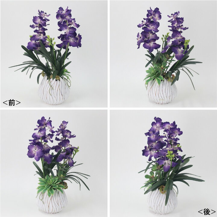 楽天市場】造花 洋ラン 洋蘭 バンダボタニックpu-XL インテリア 