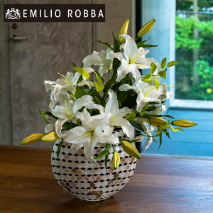 yWEBz S  JTuJ4L-a CeA AWg A[eBtBVt[ AW  zCg ^ 傫 Mtg v[g 蕨 ސEj a JƏj 