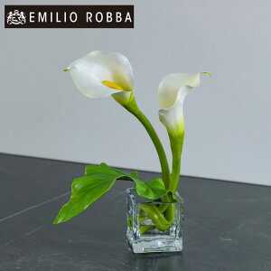  J[M AWg CeA A[eBtBVt[ AW  zCg Mtg v[g 蕨 a JƏj J@j JXj Vzj zj j o