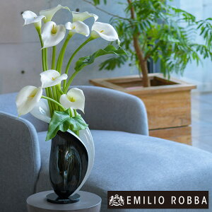  J[2XL CeA AWg A[eBtBVt[ J@j JƏj JXj   AW ^ 傫  zCg Mtg v[g 蕨 a Vzj