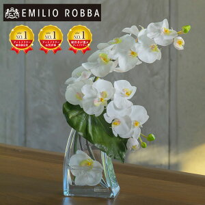 yNEWz Ӓ R`E t@mvVXL AWg CeA A[eBtBVt[ AW  zCg Mtg v[g 蕨 a JƏj J@j JX