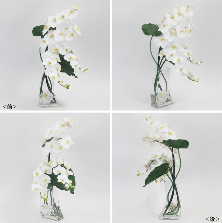 楽天市場】造花 胡蝶蘭 コチョウラン ファレノプシス2L-b 