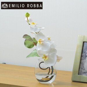 emilio robba」の人気商品一覧 | 安い商品を通販サイトから探す - 価格.com