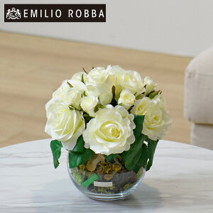  KN o [Y|vAWM-w AWg CeA A[eBtBVt[ j LO v[g AW zCg  Mtg 蕨 a v[g 