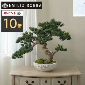 yBF|Cg10{zϗtA ~ Bonsai 3L25  CeA   ~jTCY RpNg A[eBtBVO[ A[eBtBVt[ O[ V Mtg v