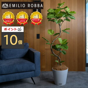 y|Cg10{zϗtA Ex[^  CeA  ^ A[eBtBVO[ A[eBtBVt[ V Mtg v[g 蕨 a Vzj z