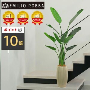 y|Cg10{zϗtA I[KX^  CeA  ^ A[eBtBVO[ A[eBtBVt[ V Mtg v[g 蕨 a Vzj zj