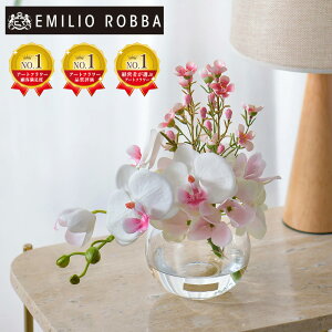  Ӓ R`E t@mvVXbvsNS AWg CeA A[eBtBVt[ AW  sN Mtg v[g 蕨 a JƏj J@j 