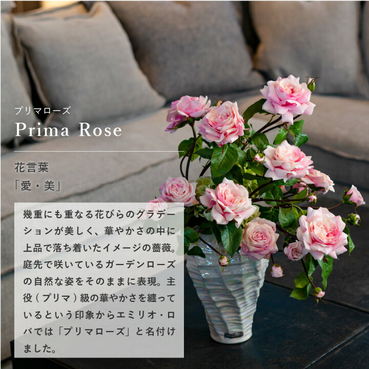 楽天市場】【WEB限定】造花 薔薇 バラ プリマローズ2L-p インテリア 