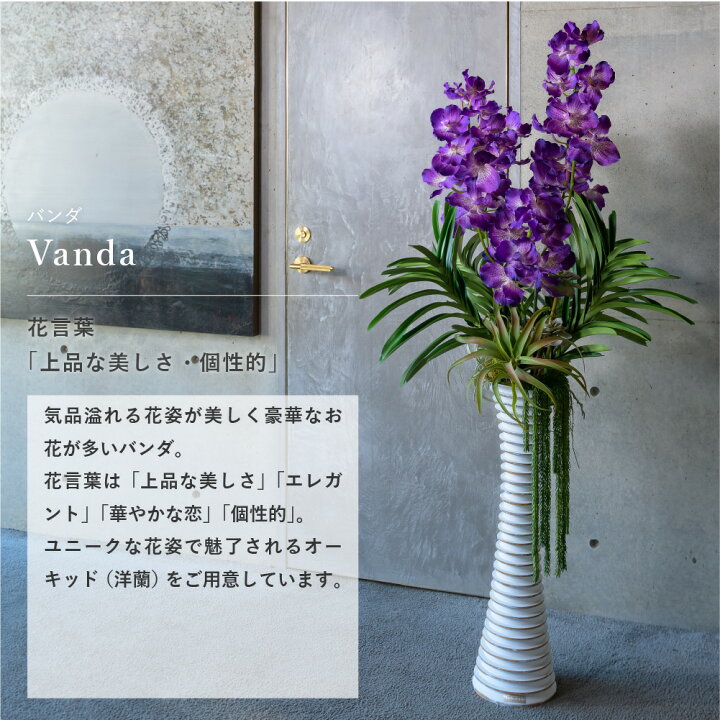 楽天市場】造花 洋ラン 洋蘭 バンダボタニックpu-XL インテリア 