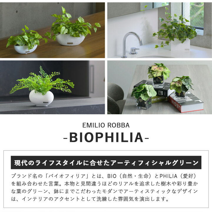 楽天市場】【エントリーでポイント10倍】 観葉植物 アイビーL 造花