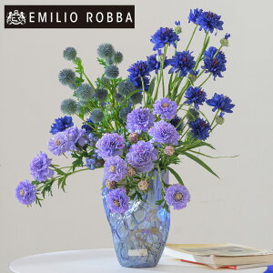 yʌz R[t[XJrIT4L25 AWg CeA A[eBtBVt[ AW v[g 蕨 ̓ ސEj a JƏj J@j JXj