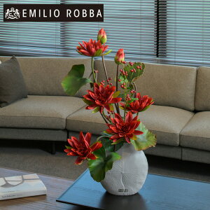 yʌz nX @ XC [^X4L25-rd AWg CeA A[eBtBVt[ AW v[g 蕨 a JƏj J@j JXj Vzj z