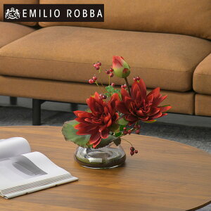 yʌz nX @ XC [^X2L25-rd AWg CeA A[eBtBVt[ AW v[g 蕨 a JƏj J@j JXj Vzj z