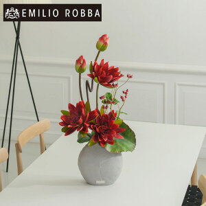 yʌz nX @ XC [^X3L25-rd AWg CeA A[eBtBVt[ AW v[g 蕨 a JƏj J@j JXj Vzj z