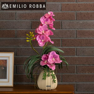 yʌz m m o_{^jbNL25pk-a AWg CeA A[eBtBVt[ AW sN Mtg v[g 蕨 a JƏj J@j JXj