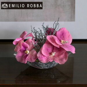 yʌz m m o_S25pk {^jbN AWg CeA A[eBtBVt[  d   ~jTCY sN Mtg v[g 蕨 a