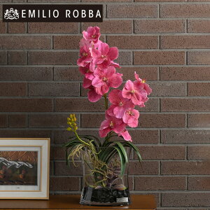 yʌz m m o_{^jbN2L25pkAWg CeA A[eBtBVt[ AW  d  sN Mtg v[g 蕨 a Vzj