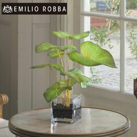 楽天市場】 花から選ぶ > 観葉植物(Biophilia） : アートフラワー 