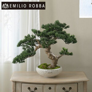 ϗtA ~ Bonsai 3L25  CeA   ~jTCY RpNg A[eBtBVO[ A[eBtBVt[ O[ V Mtg v[g 蕨 a
