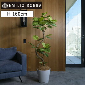 観葉植物 ウンベラータ 造花 インテリア おしゃれ 大型 アーティフィシャルグリーン アーティフィシャルフラワー 新生活 ギフト プレゼント 贈り物 誕生日 新築祝い 引越し祝い 移転祝い 開店祝い 開業祝い 開院祝い 就任祝い 竣工祝い お祝い 御祝