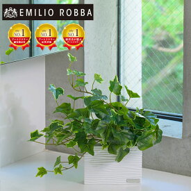 観葉植物 アイビーS 造花 インテリア おしゃれ 小さめ ミニサイズ コンパクト アーティフィシャルグリーン アーティフィシャルフラワー グリーン 新生活 ギフト プレゼント 贈り物 誕生日 引越し祝い 移転祝い 開店祝い 開業祝い 開院祝い お祝い