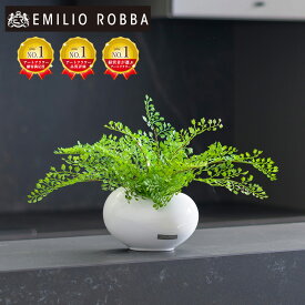観葉植物 アジアンタム 造花 インテリア おしゃれ 小さめ ミニサイズ コンパクト アーティフィシャルグリーン アーティフィシャルフラワー グリーン 新生活 ギフト プレゼント 贈り物 誕生日 新築祝い 引越し祝い 移転祝い 開店祝い 開院祝い お祝い